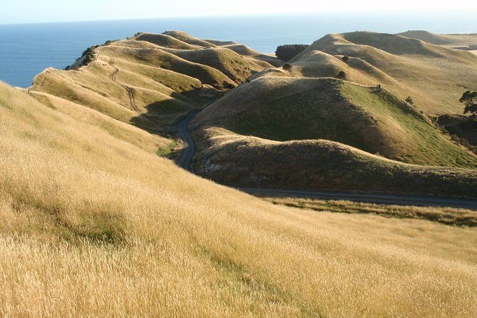 Private tour to Cape Kidnappers Gannet Colony - FAQ