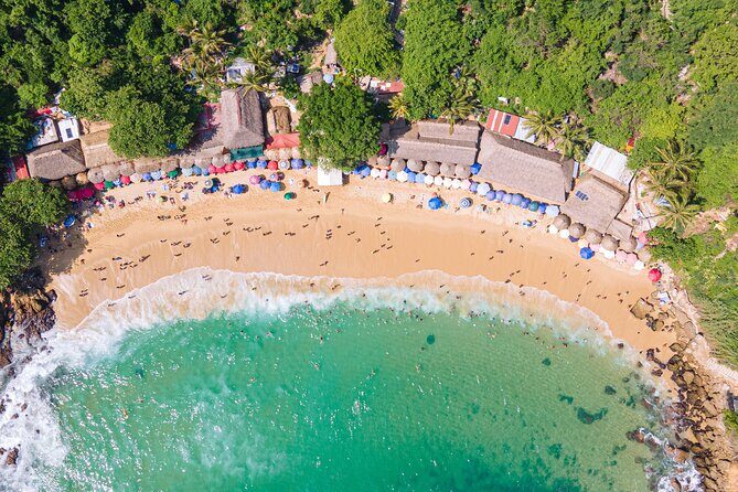 Private Tour to Carrizalillo Mirador Turtles and Release Turtles - Good To Know