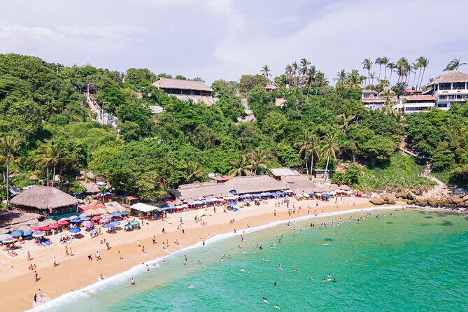 Private Tour to Carrizalillo Mirador Turtles and Release Turtles - Who Will Love This Tour?