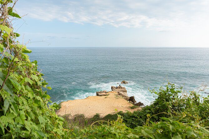 Private Tour to Carrizalillo Mirador Turtles and Release Turtles - The Sum Up