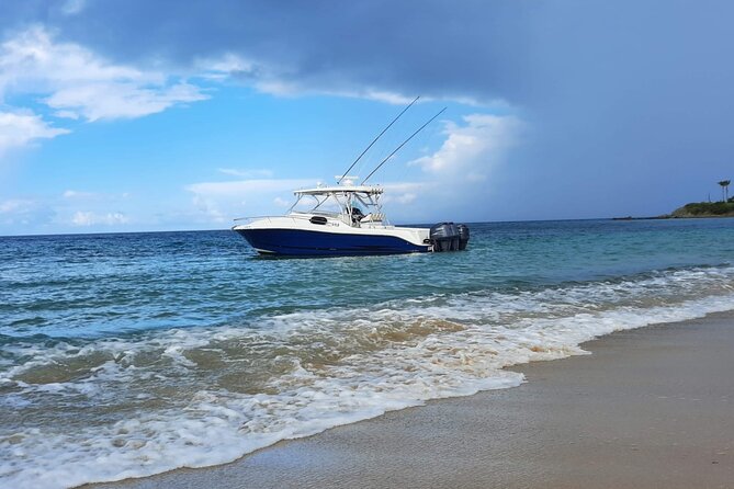 Private Tour to Cayo Icacos and Palomino Island - Tour Itinerary Highlights