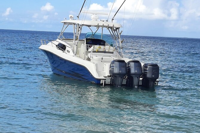 Private Tour to Cayo Icacos and Palomino Island - Snorkeling Experience Details