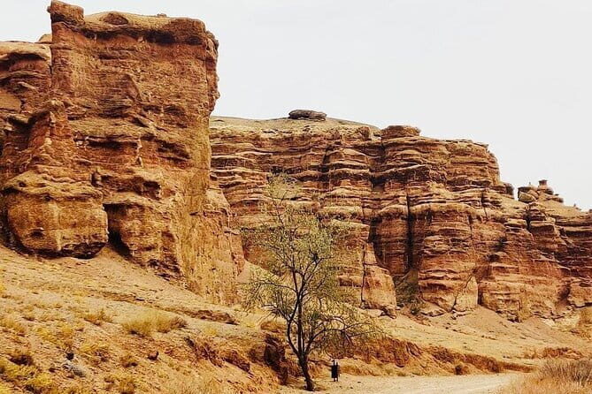 Private Tour to Charyn Canyons - The Itinerary in Detail