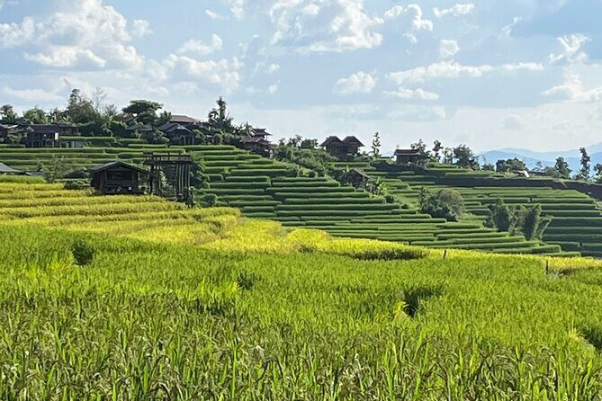 Private Tour to Chiang Mai Rice Terraces and National Park - Good To Know