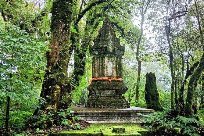 Private Tour to Chiang Mai Rice Terraces and National Park - Final Thoughts