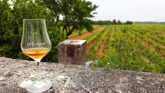 Private Tour to Cognac From Saintes, Angouleme (From Paris) - Guided Experience Details