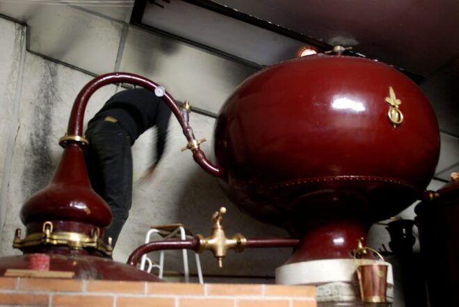 Private Tour to Cognac From Saintes, Angouleme (From Paris) - Customer Feedback and Ratings