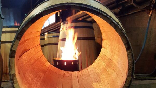 Private Tour to Cognac From Saintes, Angouleme (From Paris) - Booking Information and Pricing