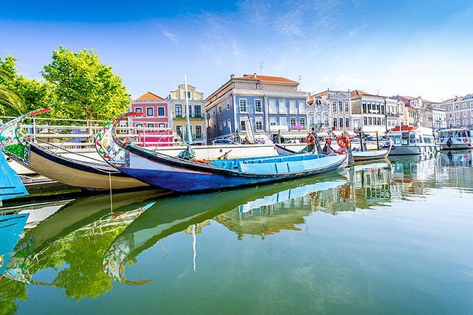 Private Tour to Coimbra, Aveiro and Costa Nova - Contact Information and Terms & Conditions