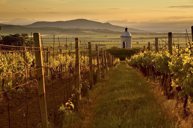 Private Tour to Czech Wine Regions - Lednice and Valtice - Host Responses