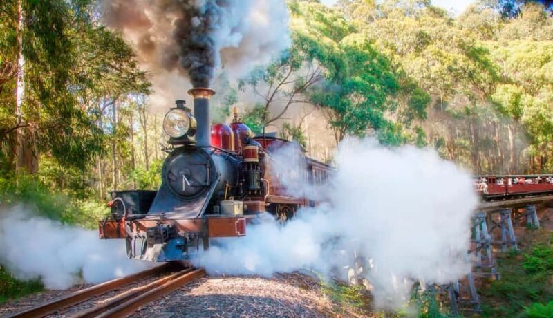Private Tour to Dandenong Ranges & Puffing Billy Steam Train - Practical Tips for Booking