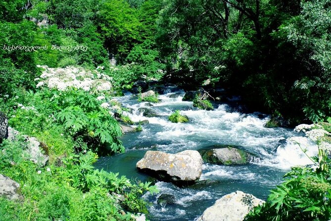 Private Tour to Dashbashi Canyon, Paravani Lake, Phoca Monastery - Tour Details