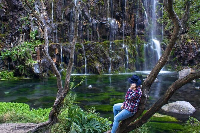 Private Tour to Dashbashi Canyon, Paravani Lake, Phoca Monastery - Meeting and Pickup Information