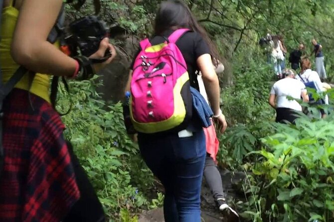 Private Tour to Dashbashi Canyon, Paravani Lake, Phoca Monastery - What To Expect