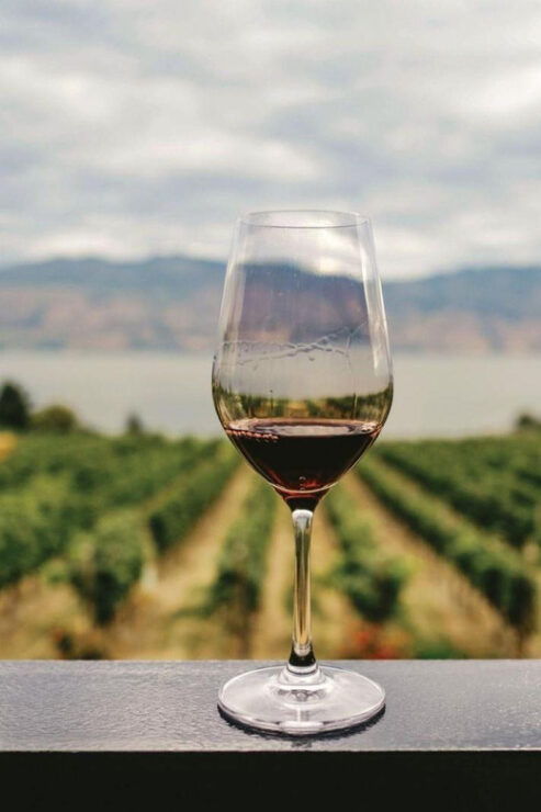 Private Tour to Discover Alentejo Wines - Itinerary Highlights