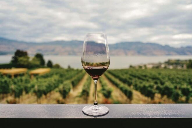 Private Tour to Discover Alentejo Wines - Tour Experience