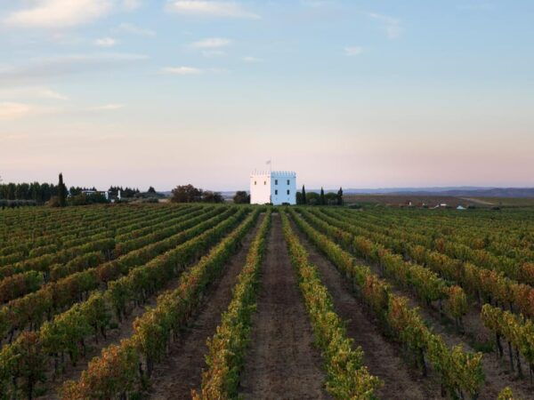 Private Tour to Discover Alentejo Wines - Pickup Location