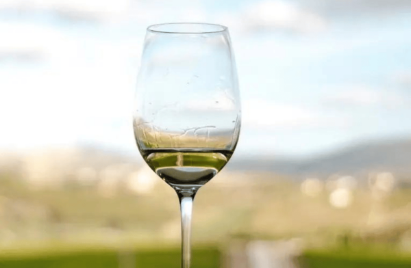 Private Tour to Discover Alentejo Wines - Wineries Visited