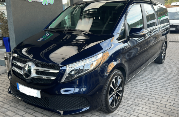 Private Tour to Discover Alentejo Wines - Frequently Asked Questions