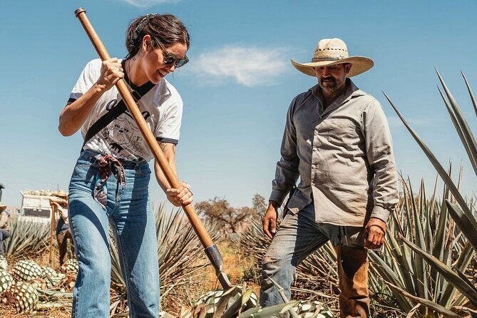 Private Tour to Distillery Tequila Ocho and Arandas - Good To Know