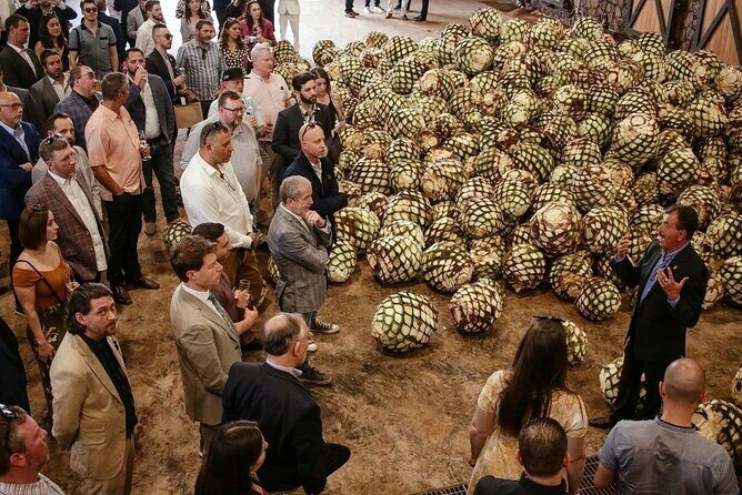 Private Tour to Distillery Tequila Ocho and Arandas - An In-Depth Look at the Tour Itinerary