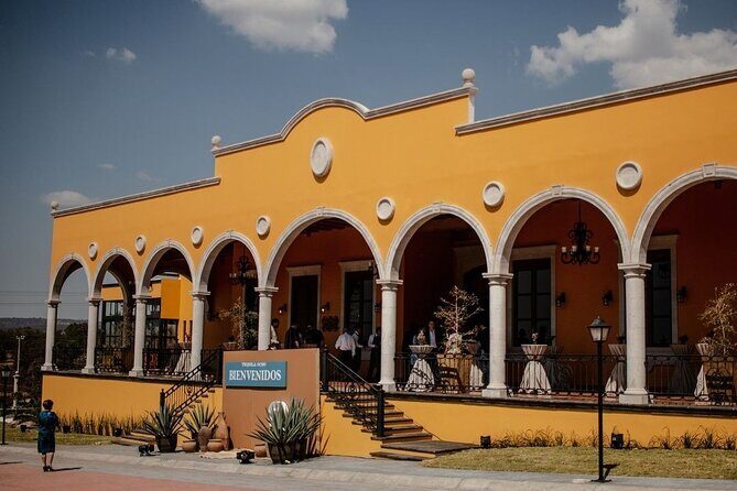 Private Tour to Distillery Tequila Ocho and Arandas - Authentic Experiences Gained from the Tour