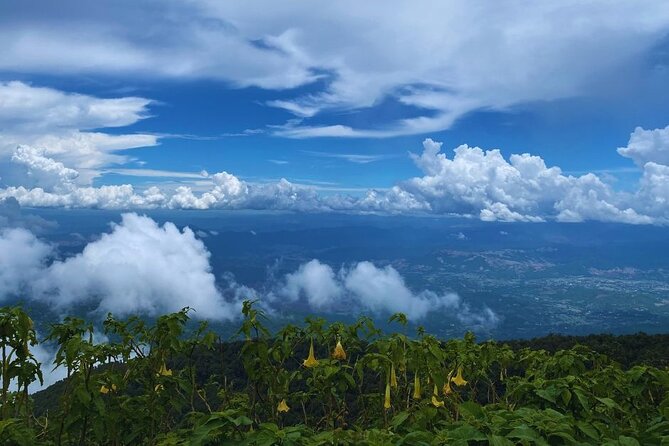 Private Tour to Doi Inthanon Including Twins Pagodas and Hiking - Visual Content and Inspiration