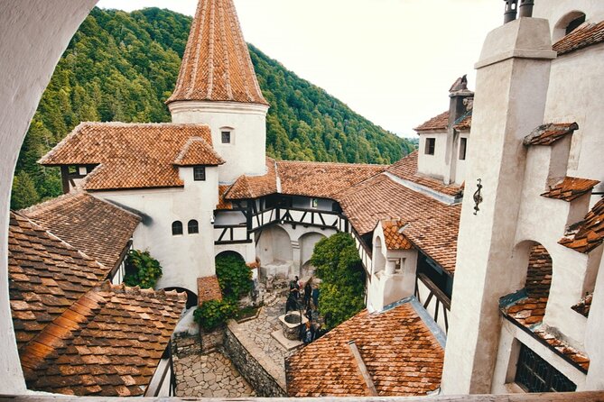 Private Tour to Draculas Castle, Peleș Castle and BrașOv City - Additional Information