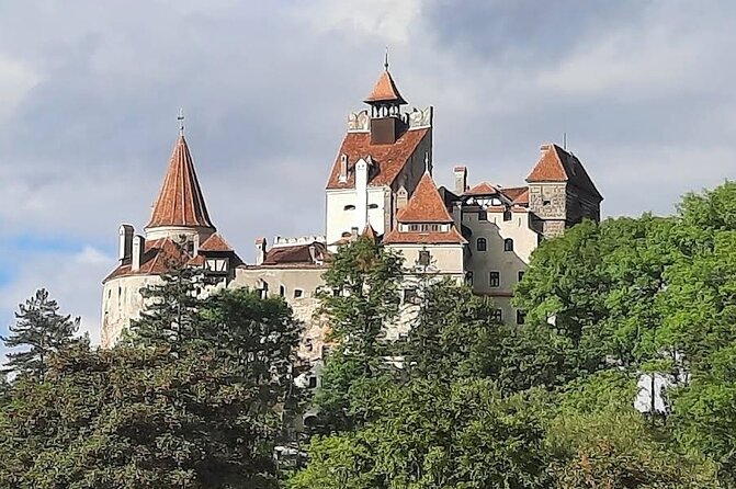 Private Tour to Draculas Castle, Peleș Castle and BrașOv City - Booking Information