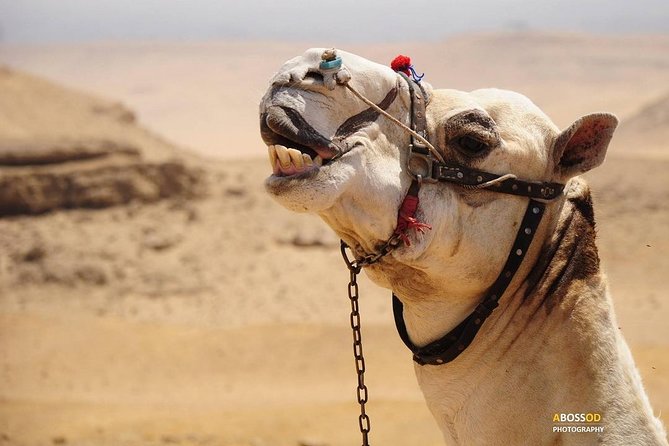 Private Tour to Egypt Famous Pyramids and Sphinx From Your Hotel - Frequently Asked Questions