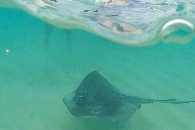 Private Tour to El Cielo and El Cielito and Palancar Cozumel - Final Words: Is This Tour Right for You?  