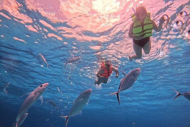 Private Tour to El Cielo and El Cielito and Palancar Cozumel - Frequently Asked Questions (FAQs)  