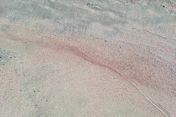 Private Tour to Elafonisi & Chrisoskalitisa Monastery - Booking and Contact Information