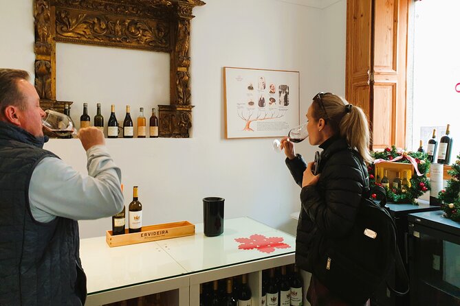 Private Tour to Évora With Wine Tasting - Pickup and Departure