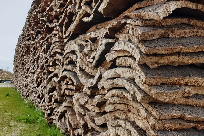 Private Tour to Évora With Wine Tasting - Accessibility Information