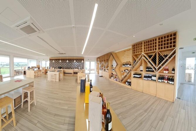 Private Tour to Évora With Wine Tasting - UNESCO WORLD HERITAGE - Tour Highlights