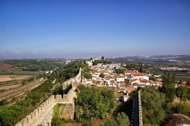 Private Tour to Fatima, Batalha, Nazaré, and Óbidos - Guide Languages