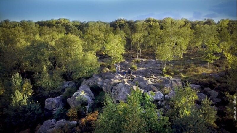 Private Tour to Fontainebleau From Paris. Tickets Included! - Good To Know