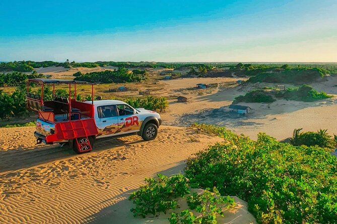 Private Tour to Foz Do Rio São Francisco - Tour Highlights