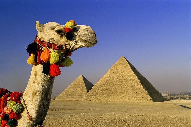 Private Tour to Giza Pyramids, Sphinx, Coptic Cairo and Islamic Cairo - Pickup Details