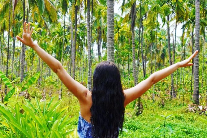 Private Tour to Goa and Dudhsagar Waterfalls With Lunch - Traveler Tips