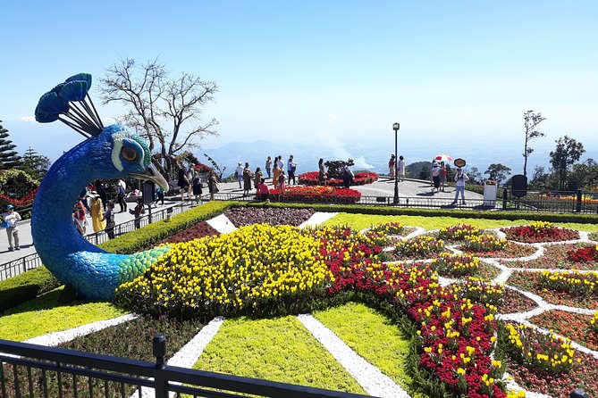 Private Tour To Golden Bridge-Ba Na Hills From Hoi An Or Da Nang - Whats Included in the Tour