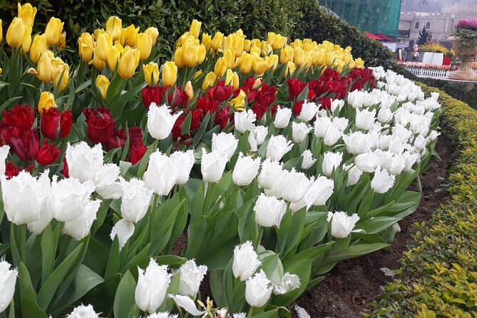 Private Tour To Golden Bridge-Ba Na Hills From Hoi An Or Da Nang - Weather Policy