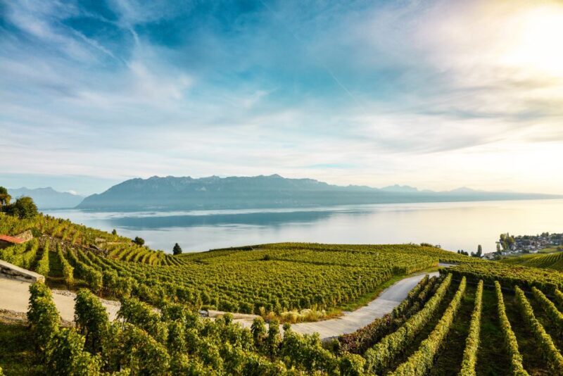 Private Tour to Gruyeres with Cheese and Chocolate Factory - The Itinerary in Detail