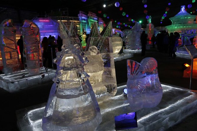 Private Tour to Guyaju Cave Dwellings and Longqing Gorge Ice Lanterns Festival - Group Size and Rates