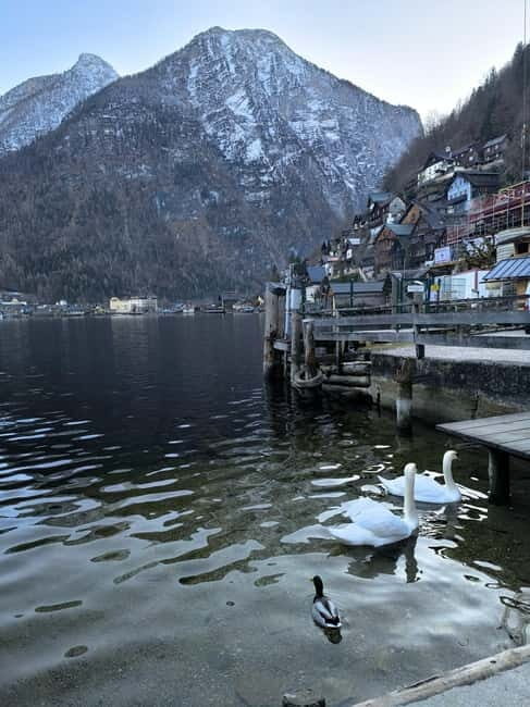 Private Tour to Hallstatt & Salzburg Comfort and Elegance - Authentic Insights from Reviewers