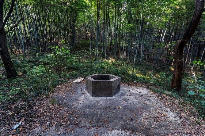 Private Tour to Hike on Qionglong Mountain With Vegetarian Noodles & Tea Tasting - Culinary Experiences