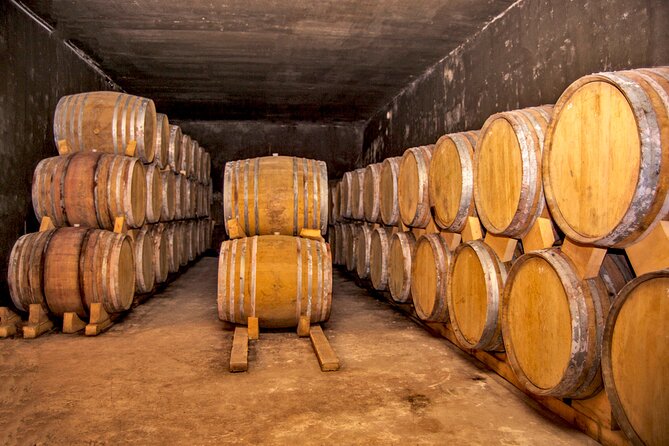 Private Tour to Hin Areni Winery, Shaki Waterfall, Tatev Monastery, Karahunj - Tour Highlights