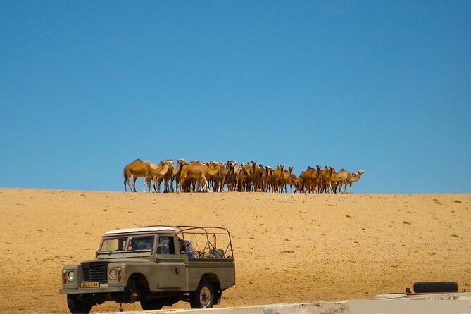Private Tour To Imlili Natural And Human History - Tour Highlights