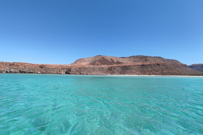 Private Tour to Isla Espiritu Santo and snorkel with sea lions - The Itinerary in Detail: What You Can Expect